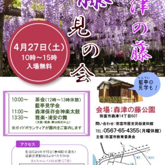 森津の藤　藤見の会