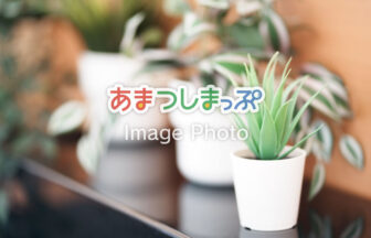 屋内公園のイメージ