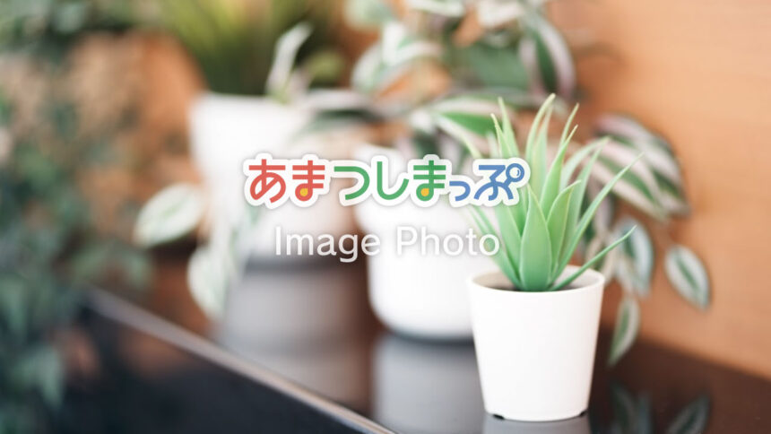 屋内公園のイメージ